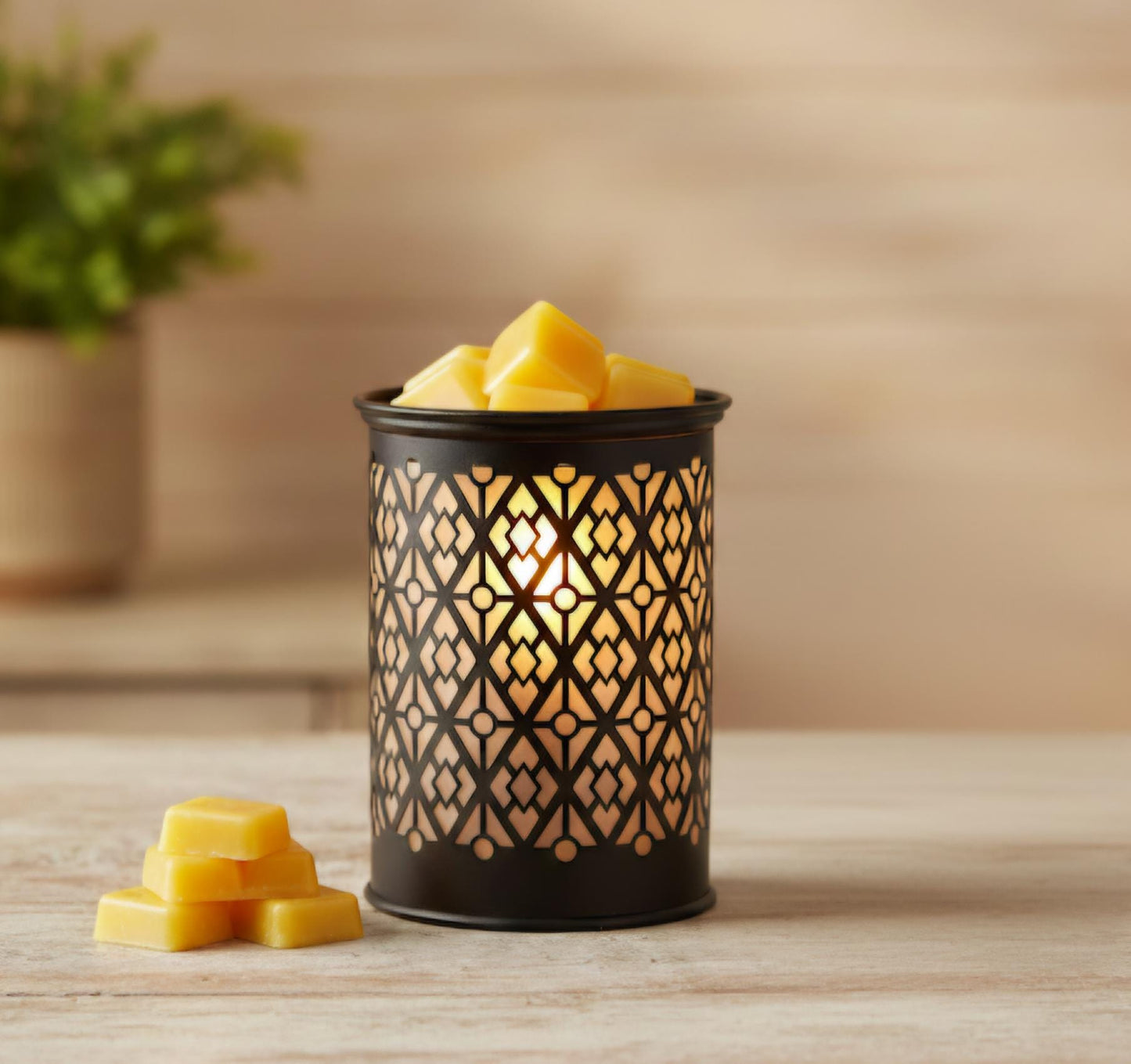 Electric Wax Warmer - Disney Home Decor - Resort + Park Scents by Main Street Melts Candle Co.