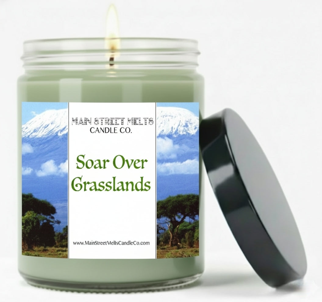 Soar Over Grasslands | Disney Inspired Scented Soy Candle - Soarin' Fragrance