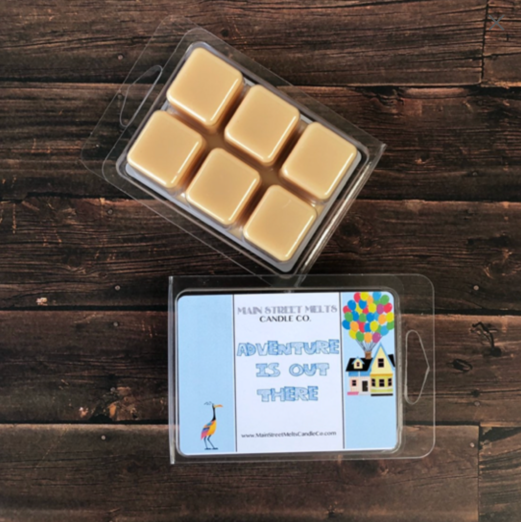 ADVENTURE IS OUT THERE Soy Wax Melt