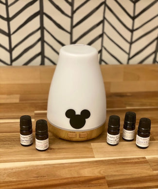 FLORIDIAN Fragrance Oil for Diffuser Essential Oils Main Street Melts  Candle Co. Disney Inspired Scents Fragrances 5ml Resort Grand Lobby 